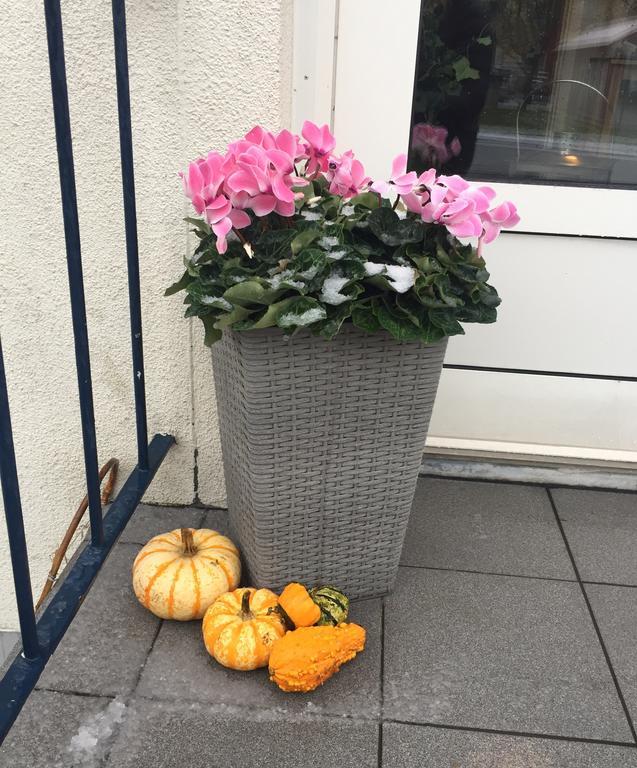 Aurora Bed & Breakfast Simrishamn Eksteriør bilde