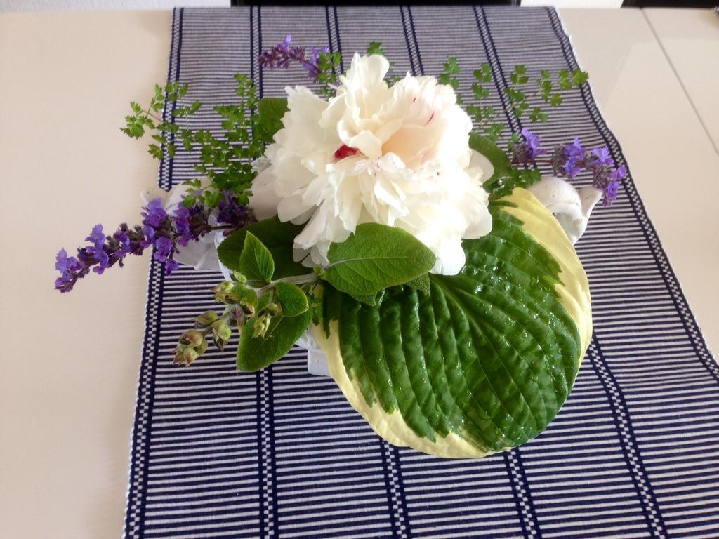 Aurora Bed & Breakfast Simrishamn Eksteriør bilde